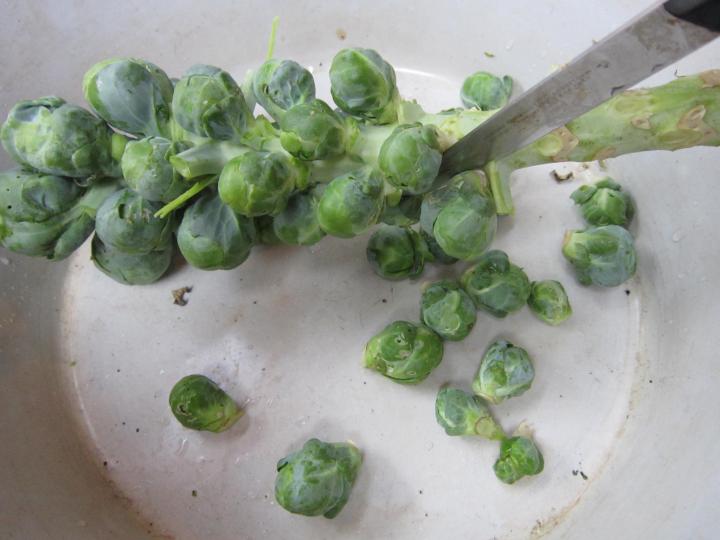 cutting brussel sprouts into a bowl with knife